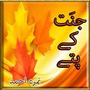 Jannat Ke Pattay (Nimra Ahmed) Full Novel APK