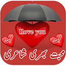 Love Poetry (Shayari) In Urdu APK