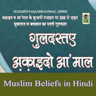 Muslim Beliefs in Hindi icône