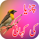 Nanhi Chidiya Ki Beqarari Urdu Kahani APK