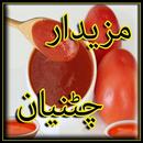 Sauce Recipes In Urdu APK