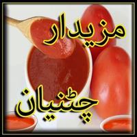 Sauce Recipes In Urdu Affiche