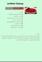 Sauce Recipes In Urdu capture d'écran 2