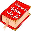 Sahih Bukhari Volume 6 Urdu APK