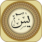 Surah Yasin with Translation أيقونة