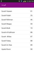 Panj Surah capture d'écran 1