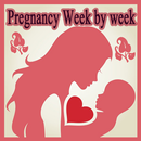 Pregnancy Week by Week APK