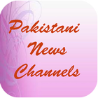 Top For Pakistani News Channels icône