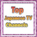 Top Japanese Tv Channels APK