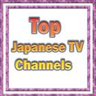 Top Japanese Tv Channels icône