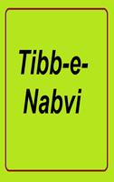 Tib_e_Nabvi Plakat