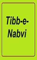 Tib_e_Nabvi Cartaz