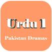 Urdu 1 APK