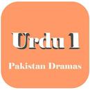 Urdu 1 APK