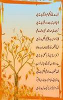 Urdu Poetry скриншот 2