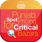 Spot Pricing Critical Bazars icône