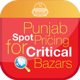 Spot Pricing Critical Bazars icon