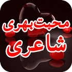 Romantic Urdu Poetry/Love Poetry ikona