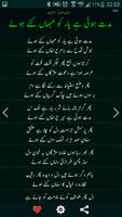 Mirza Ghalib Poetry  دیوانِ غا تصوير الشاشة 2