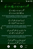 Allama Iqbal Poetry اقبالؔ imagem de tela 3