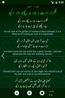 Allama Iqbal Poetry اقبالؔ 截图 3