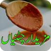 Sauce Recipes/Pakistani Chatnian