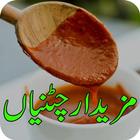 Sauce Recipes/Pakistani Chatnian icône