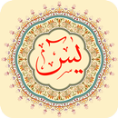 Surah Yasin / With 2 Language Translation APK