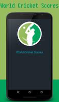 World Cricket Live Affiche