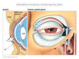 Oftalmología اسکرین شاٹ 2