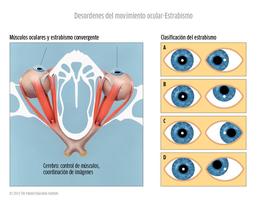 Oftalmología screenshot 3