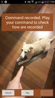 Barking dog - demo 截图 1