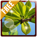 Nature Landscape 3D Free Live APK