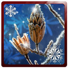 Winter Snowfall 3D Paralax LWP icon