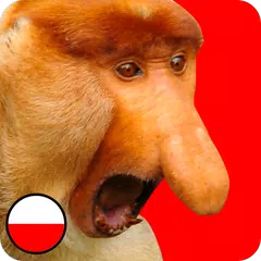 Janusz Kliker APK 下載