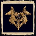 Rorschach Inkblots Test icon