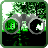 Night vision simulation