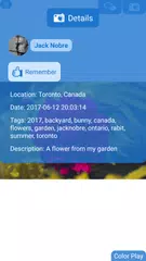 Flickr Mobile APK Herunterladen