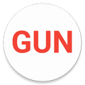 Gun Expert