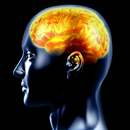 Best IQ Test APK