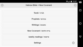 Hebrew Bible and New Covenant Affiche