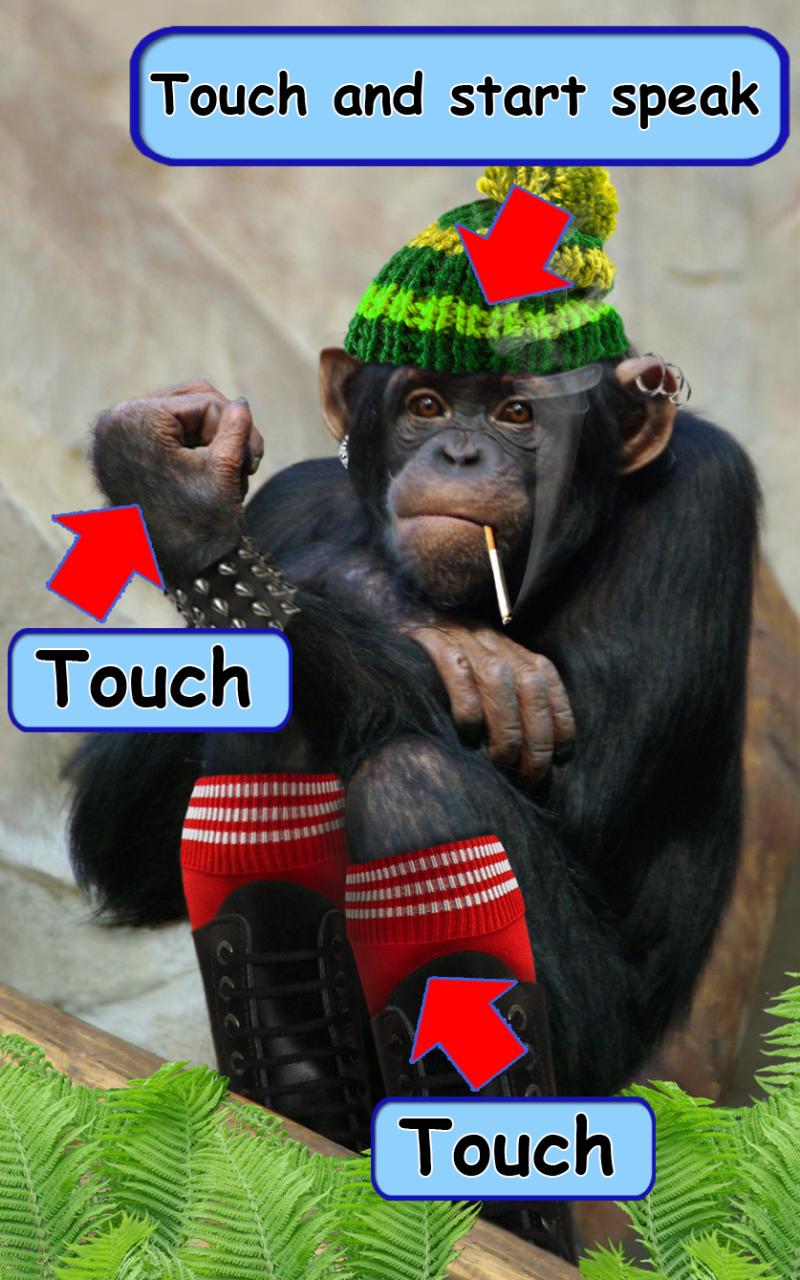 Marah Bicarakan Monyet For Android Apk Download
