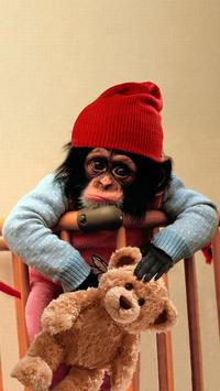 Download Baby Monkey Cute Wallpaper Apk For Android Latest Version
