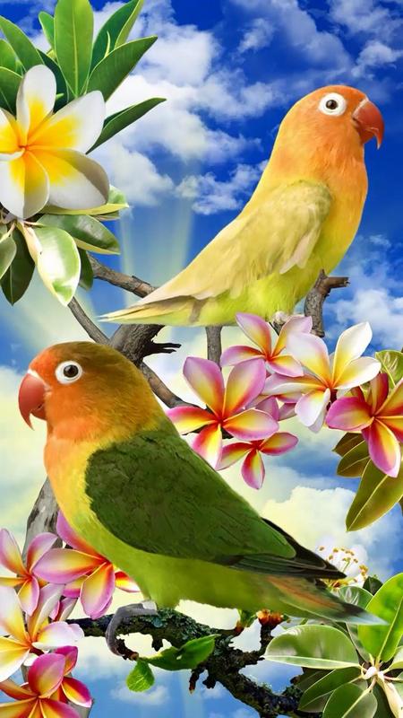 my wallpaperblog Wallpaper Hd Hidup 