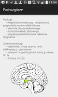 1 Schermata Atlas Funkcjonalny Mózgu
