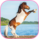 Ponies and Little Horses APK