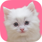 Kitty & Doggie : Game for Kids icon
