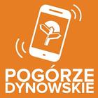 Icona Pogórze Dynowskie