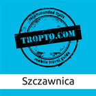 Szczawnica - miasto i okolice ícone