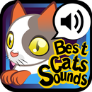 Best Cats Sounds APK